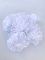 Angel Cloud Ruffle Collar Attachment