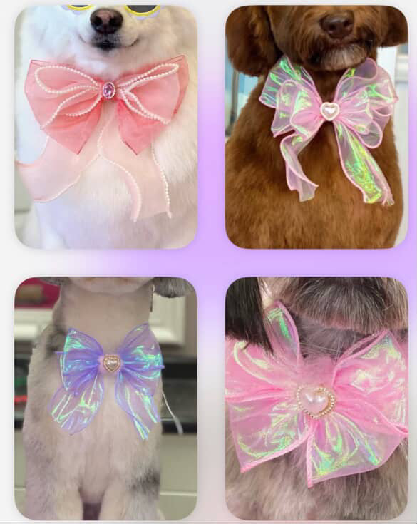 Bow Order for All Fluffed Up