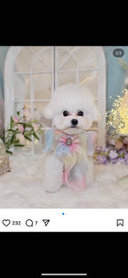 Bow Order for All Fluffed Up