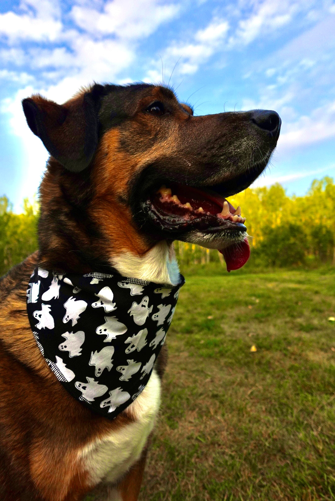 The Monster Mash Bandana Mega Pack – 72 Triangle Halloween Dog Bandanas (S/M/L)