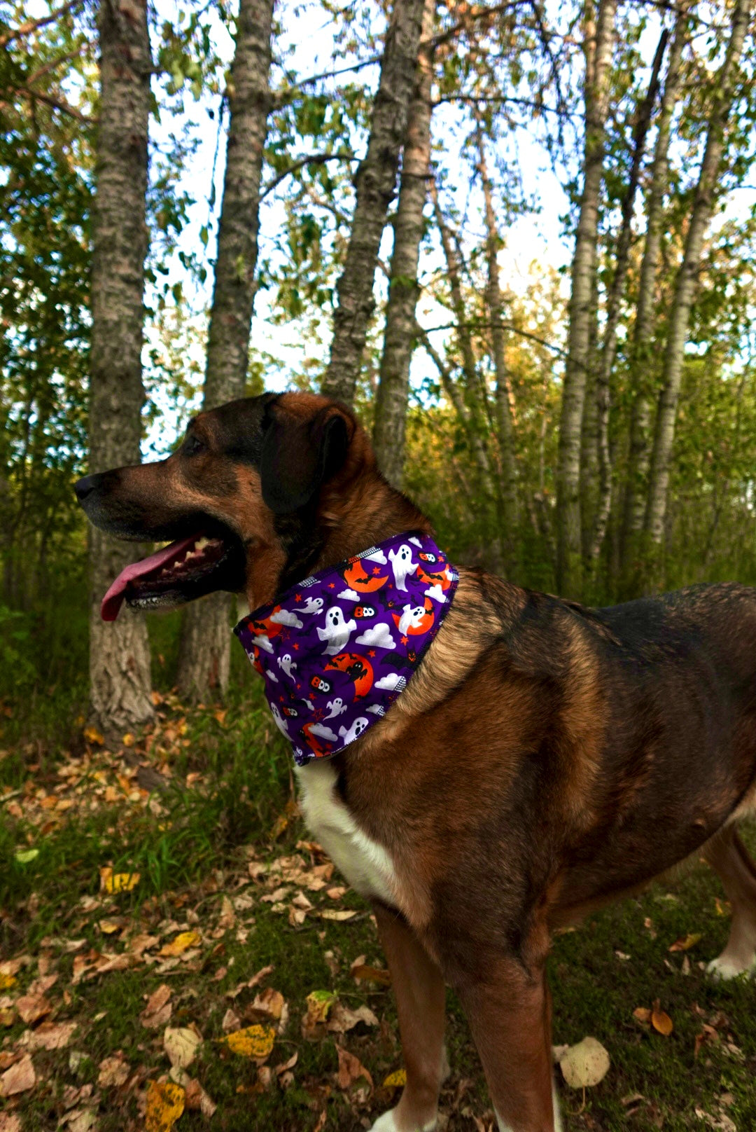 The Monster Mash Bandana Mega Pack – 72 Triangle Halloween Dog Bandanas (S/M/L)