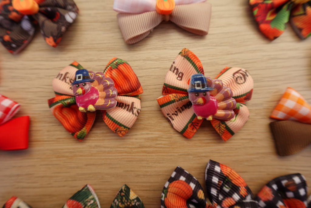 Autumn Stroll 16-Piece Small Bow Set