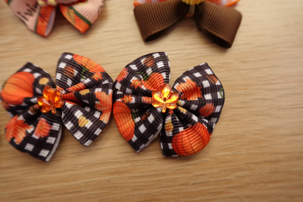 Autumn Stroll 16-Piece Small Bow Set