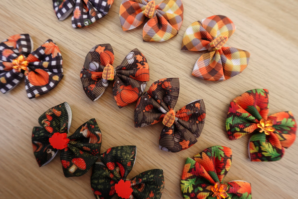 Crisp Autumn 10-Piece Small Bow Set