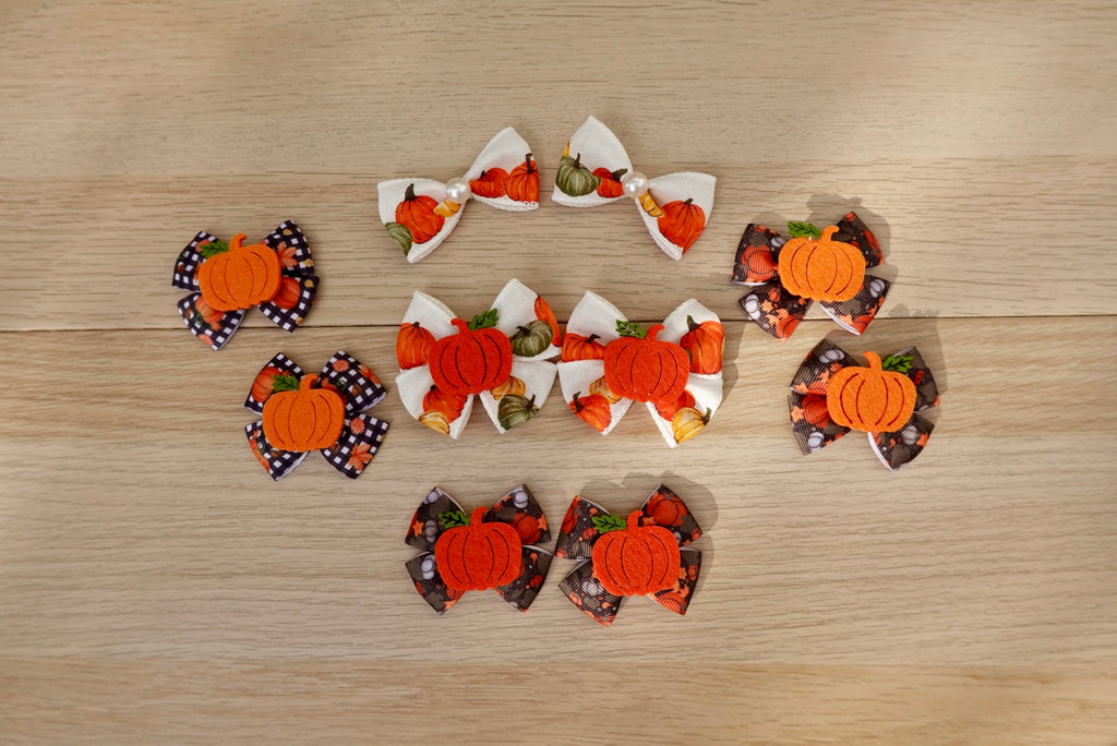Pumpkin Patch 10-Piece Large Bow Set