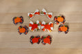 Pumpkin Patch 10-Piece Large Bow Set