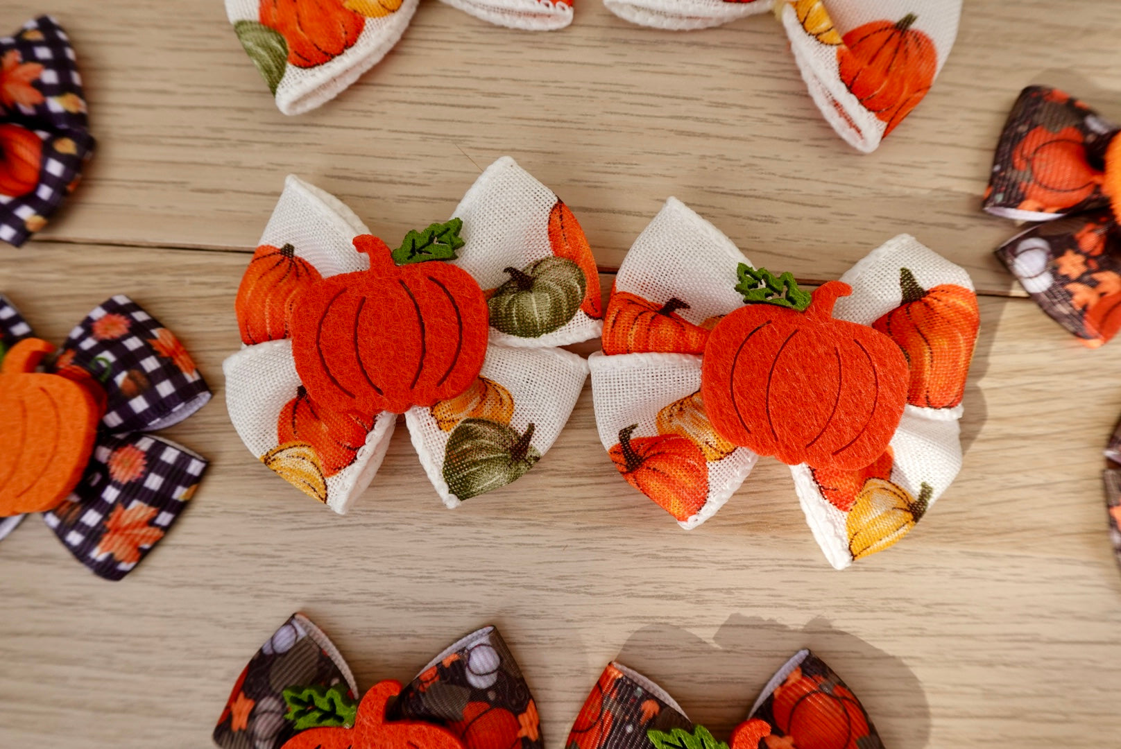 Pumpkin Patch 10-Piece Large Bow Set