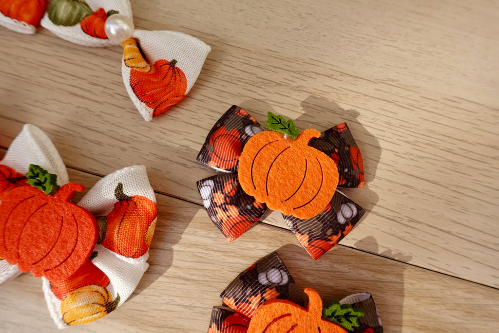 Pumpkin Patch 10-Piece Large Bow Set