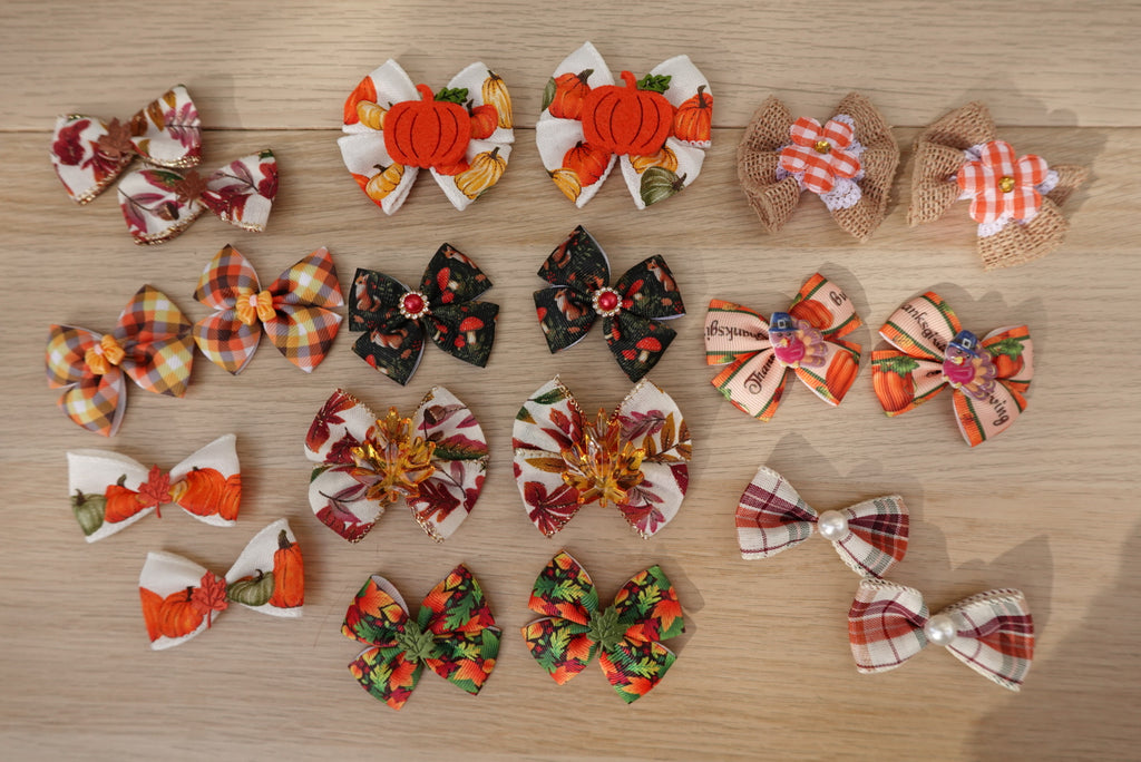 Autumn Glow 20-Piece Large Bow Bundle