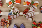 Cozy Harvest 35-Piece Bow & Bowtie Bundle