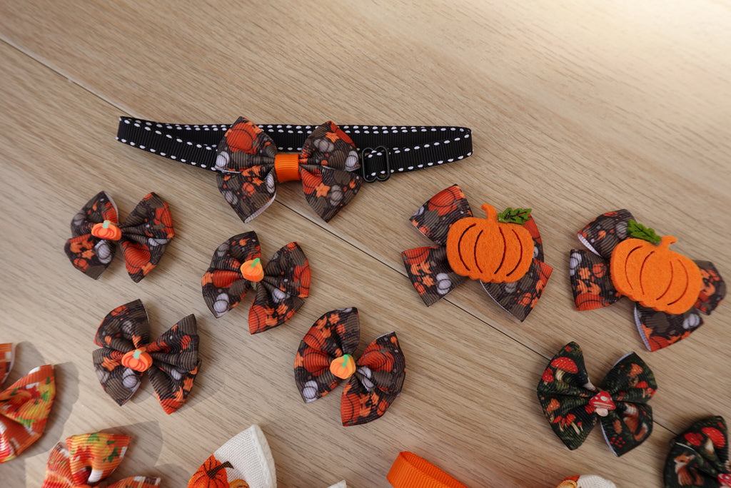 Harvest Hues 31-Piece Bow & Bowtie Bundle