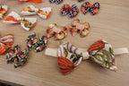 Harvest Hues 31-Piece Bow & Bowtie Bundle