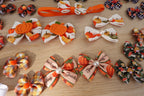 Harvest Hues 31-Piece Bow & Bowtie Bundle