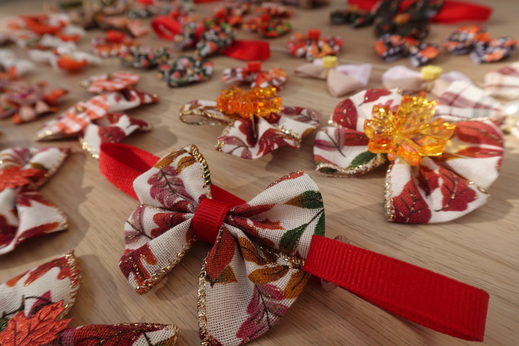 Autumn Bliss 40-Piece Bow & Bowtie Set