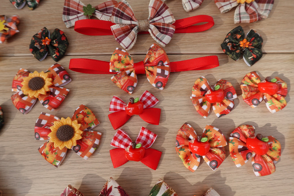 Harvest Hues 60-Piece Bow & Bowtie Collection