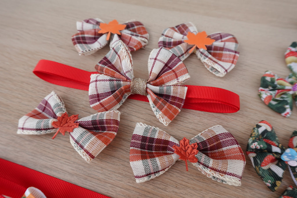 Cozy Autumn 60-Piece Bow & Bowtie Collection