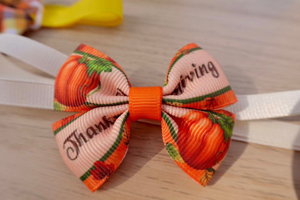 Pumpkin Paws – Adjustable Bow Tie Set of 5