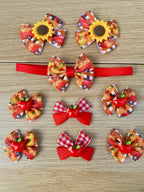 Harvest Hues 60-Piece Bow & Bowtie Collection